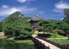 探索全球试管婴儿技术，外国的发展、寿命及其挑战